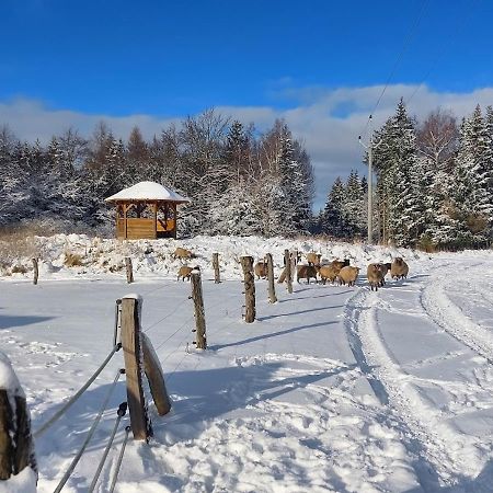Chalet Boruvka - Biofarma Na Samote V Lesich Benesov  Eksteriør bilde