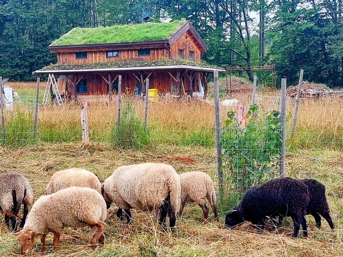 Chalet Boruvka - Biofarma Na Samote V Lesich Benesov  Eksteriør bilde