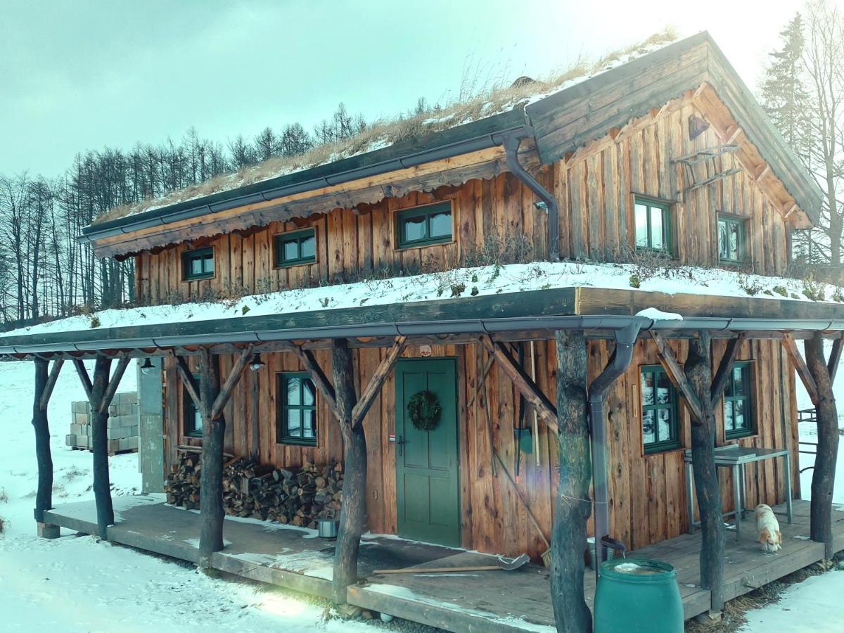 Chalet Boruvka - Biofarma Na Samote V Lesich Benesov  Eksteriør bilde