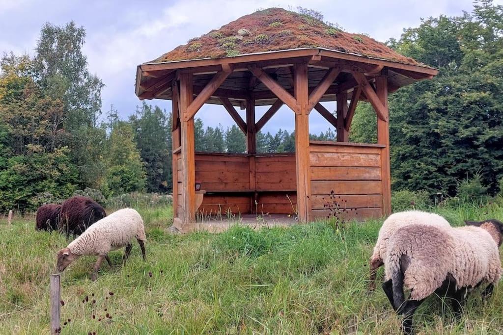 Chalet Boruvka - Biofarma Na Samote V Lesich Benesov  Eksteriør bilde