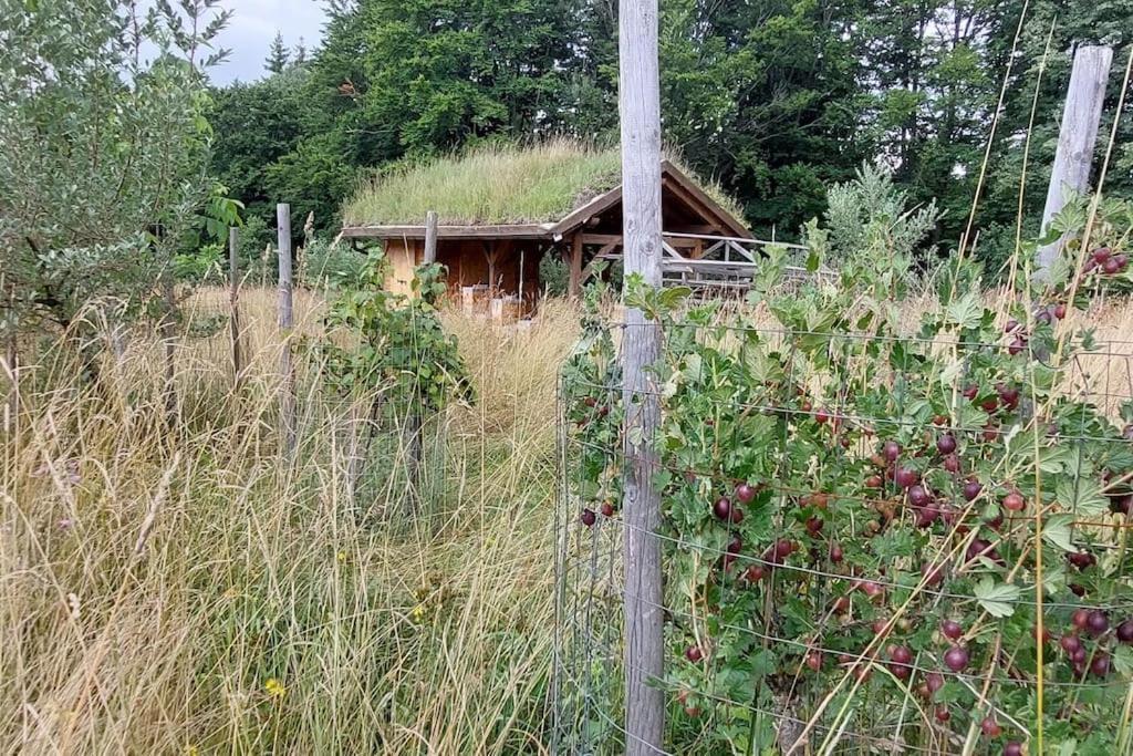 Chalet Boruvka - Biofarma Na Samote V Lesich Benesov  Eksteriør bilde
