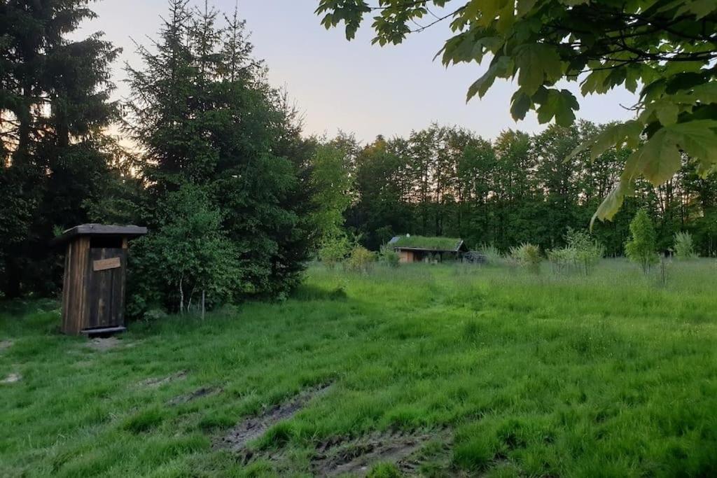 Chalet Boruvka - Biofarma Na Samote V Lesich Benesov  Eksteriør bilde